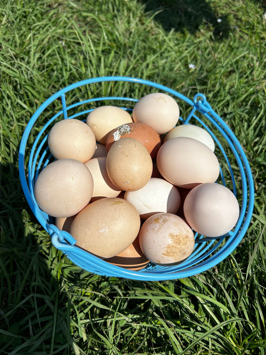 Eggs
