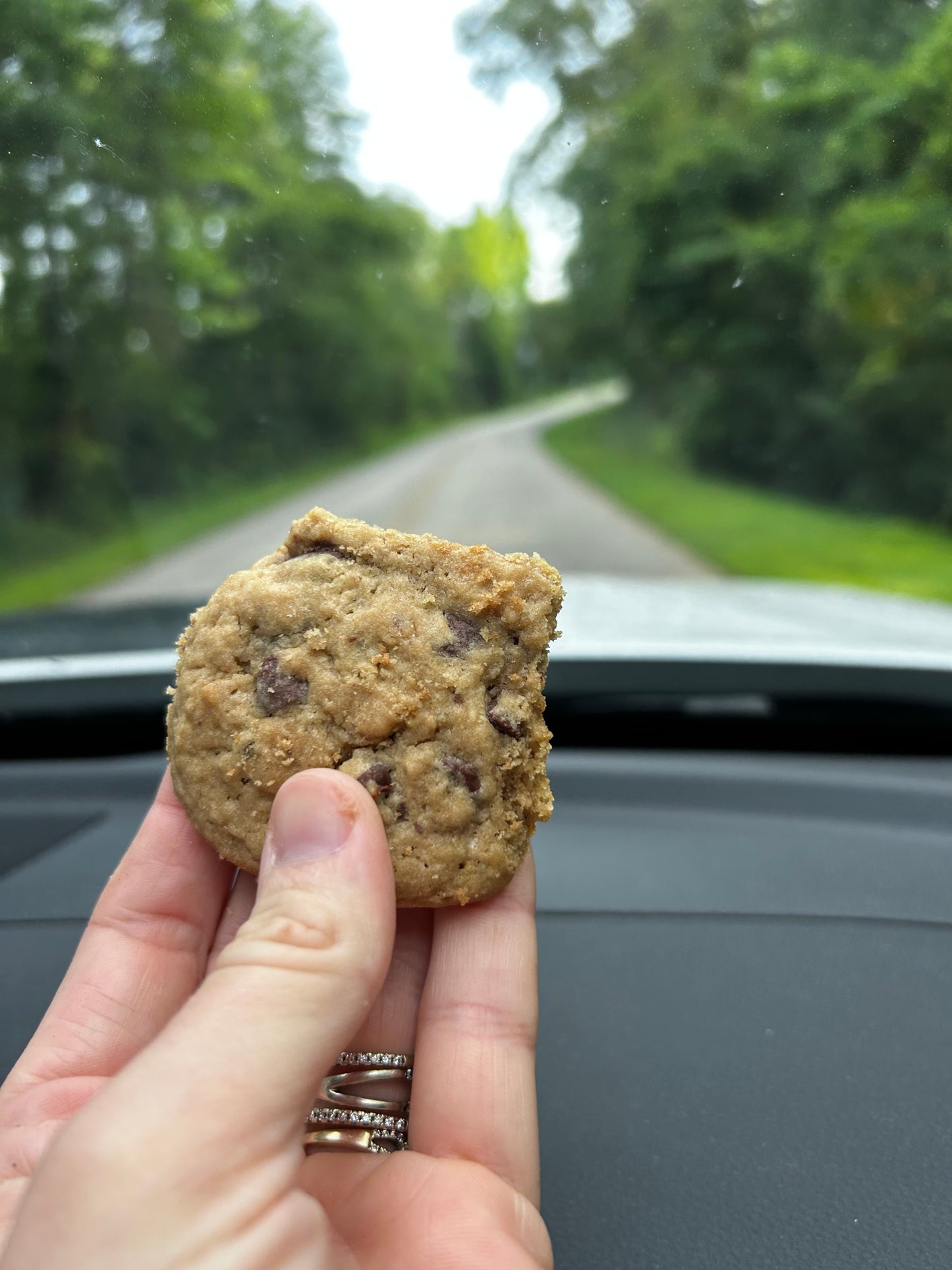 Sourdough Chocolate Chip cookies