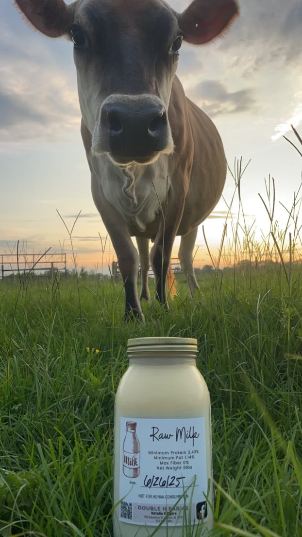 Milk 1/2 gallon